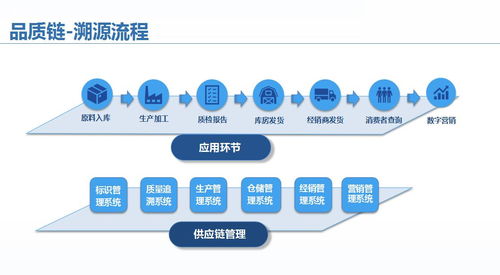 企業產品溯源系統 破解供應鏈數據孤島，信息系統集成服務的價值實踐